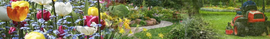 Los Angeles Landscaping, Los Angeles Landscaper